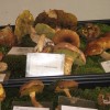 img_1710_000.jpg