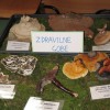 img_1712_000.jpg