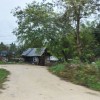 dsc_3114.jpg