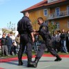img_1090.jpg