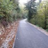 kostanjevica_3.jpg