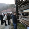 img_8506_000.jpg