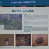 tabla_1.jpg
