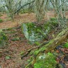 img_7323.jpg