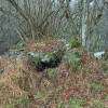 img_7317.jpg