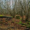 img_7327.jpg