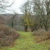 img_7344.jpg