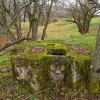 img_7337.jpg