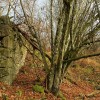 img_7357.jpg