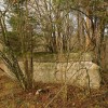 img_7363.jpg