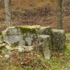 img_7339.jpg
