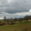 img_7365.jpg