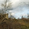 img_7351.jpg