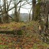 img_7345.jpg