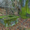 img_7333.jpg