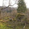 img_7350.jpg