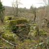 img_7342.jpg