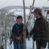 img_4775_000.jpg