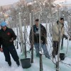 img_4777_000.jpg