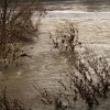 img_7716.jpg