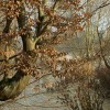 img_7717.jpg