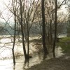 img_7718.jpg