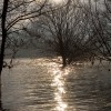 img_7707.jpg