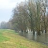 img_7709.jpg