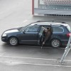 img_0030.jpg