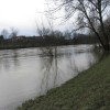 img_8769_44_1_000.jpg