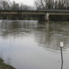 img_8767_43_1_000.jpg