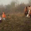 img_0631_000.jpg