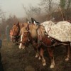 img_0629_000.jpg