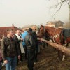 img_0652_000.jpg
