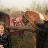 img_0656_000.jpg