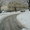 img_0530_000.jpg