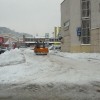 img_0523_000.jpg