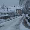 img_2548_000.jpg