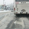 img_0529_000.jpg