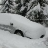 img_0516_000.jpg