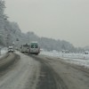 img_0527_000.jpg