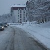 img_2547_000.jpg