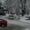 img_2552_000.jpg
