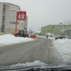 img_0522_000.jpg