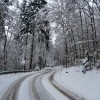 dsc_8200_000.jpg
