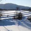 img_2641_000.jpg