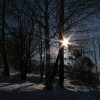 img_2585_000.jpg