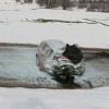 img_1073_000.jpg