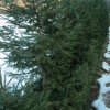 img_1977_000.jpg