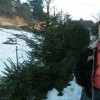 img_1981_000.jpg
